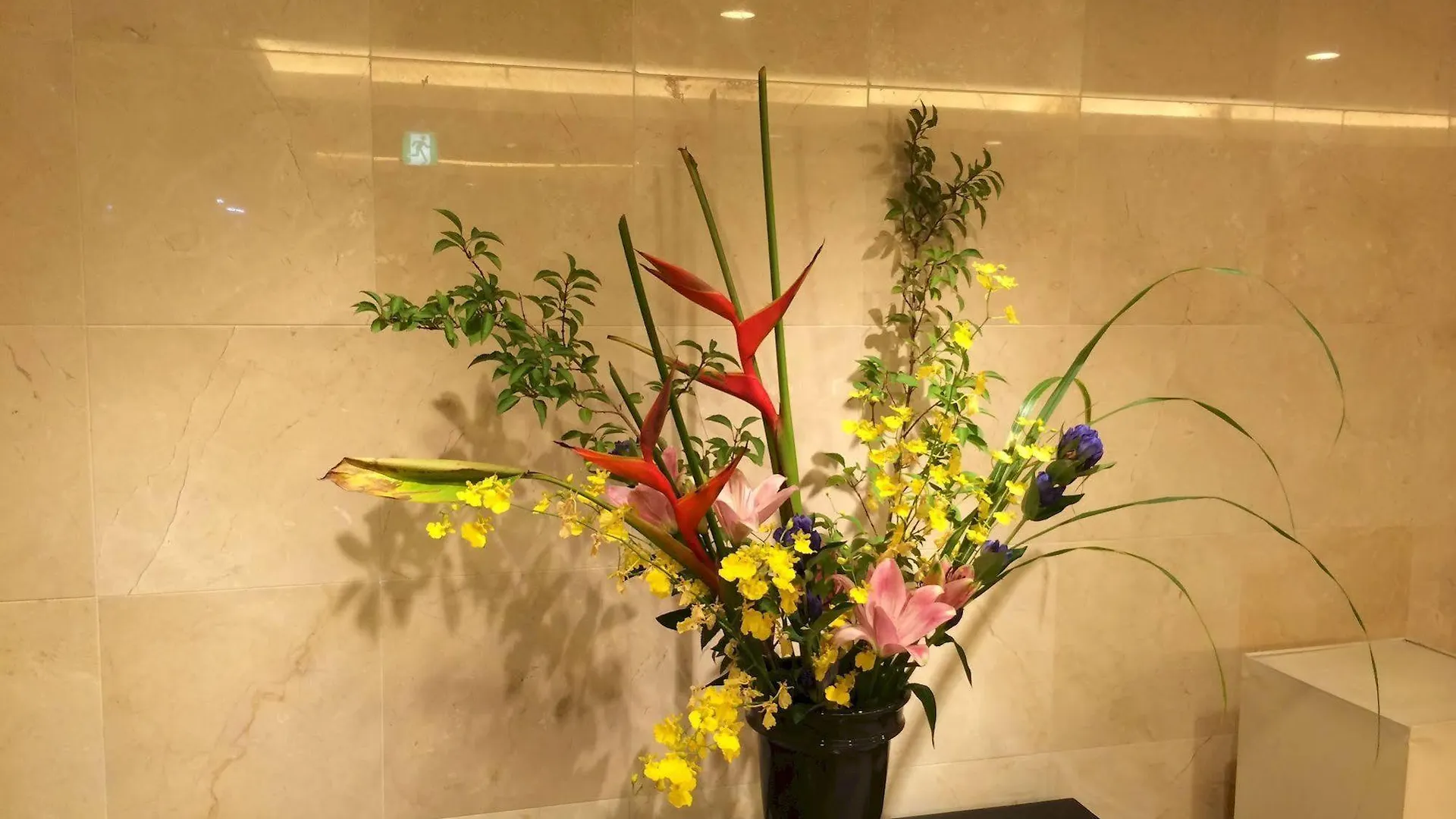 *** 酒店 镰仓相铁弗雷萨酒店 镰仓市 日本